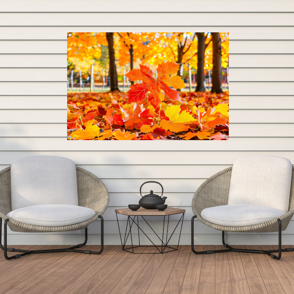 Herfstbladeren in zonovergoten park tuinposter
