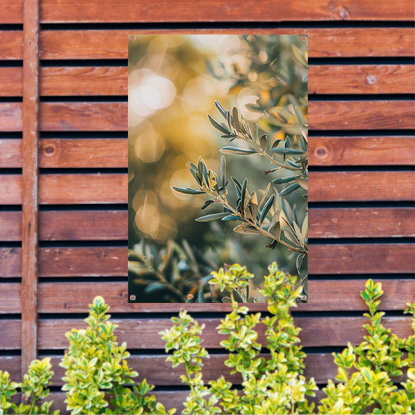 Olijftak in Zomerzonlicht tuinposter