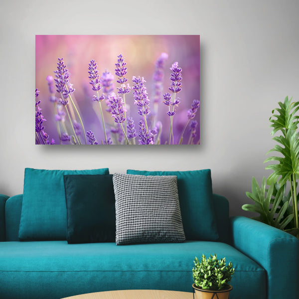 Betoverende lavendelvelden in zachte pasteltinten poster