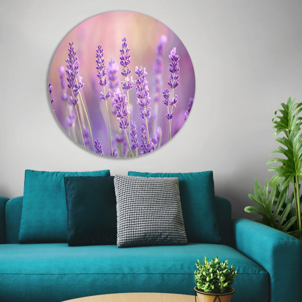 Betoverende lavendelvelden in zachte pasteltinten aluminium muurcirkel