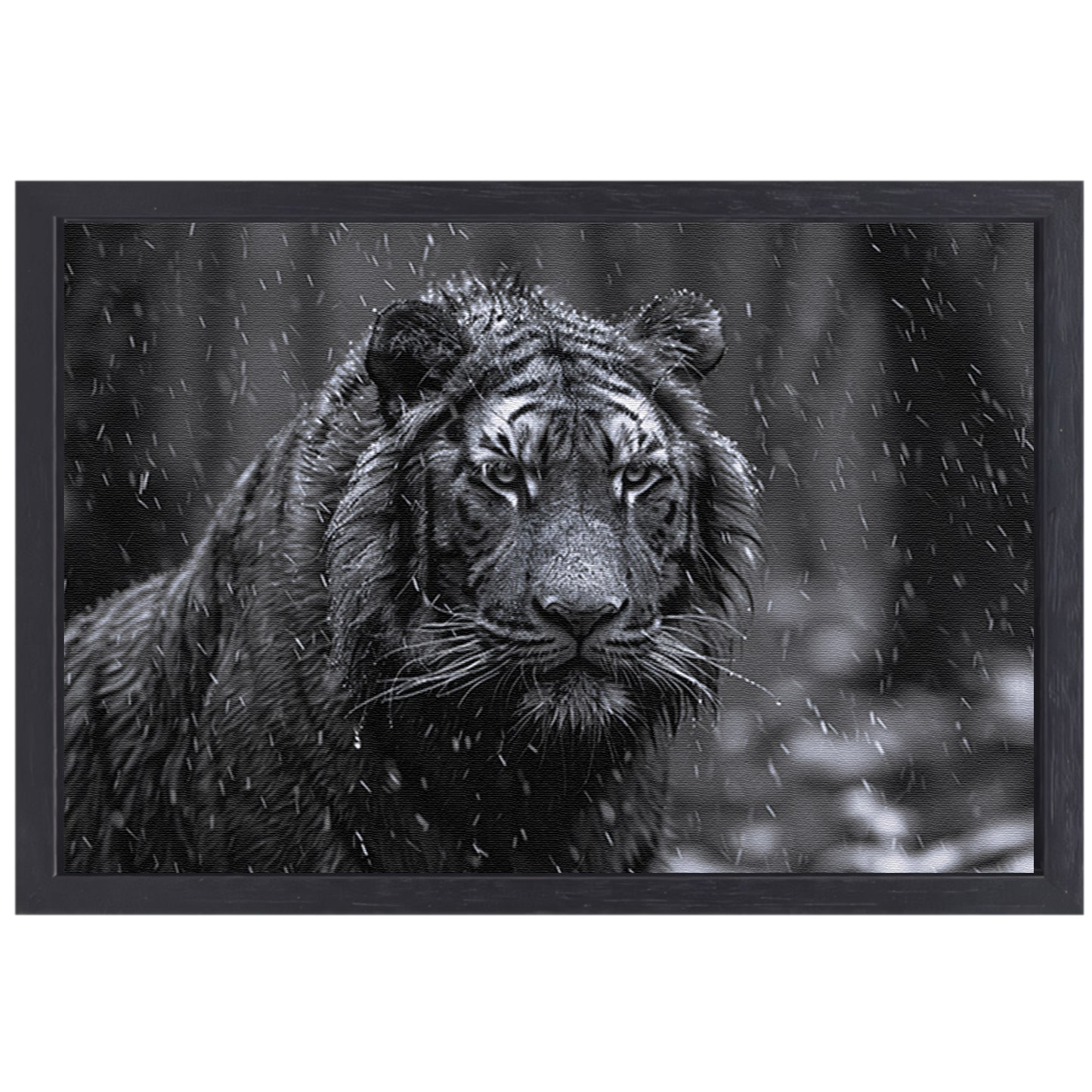 Majestueuze tijger in de regen canvas met baklijst