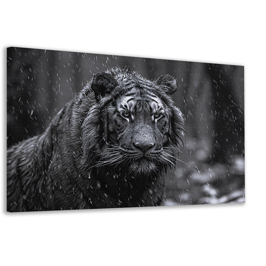 Majestueuze tijger in de regen canvas