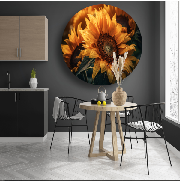 Zonnebloem close-up met waterdruppels forex muurcirkel