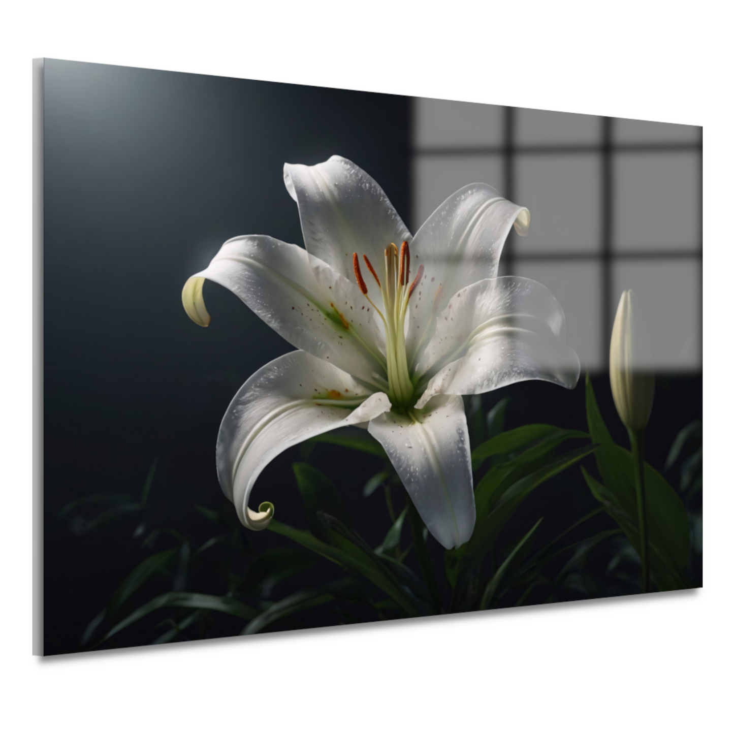 Elegante Witte Lelie met Waterdruppels acrylglas