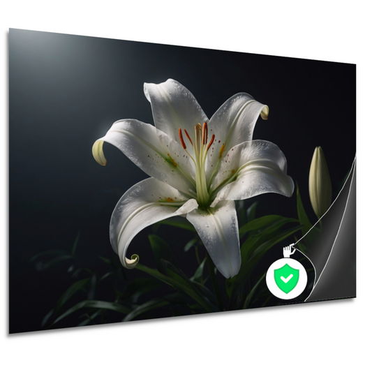 Elegante Witte Lelie met Waterdruppels poster