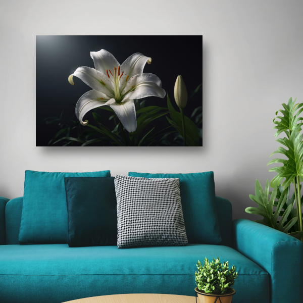 Elegante Witte Lelie met Waterdruppels canvas met baklijst