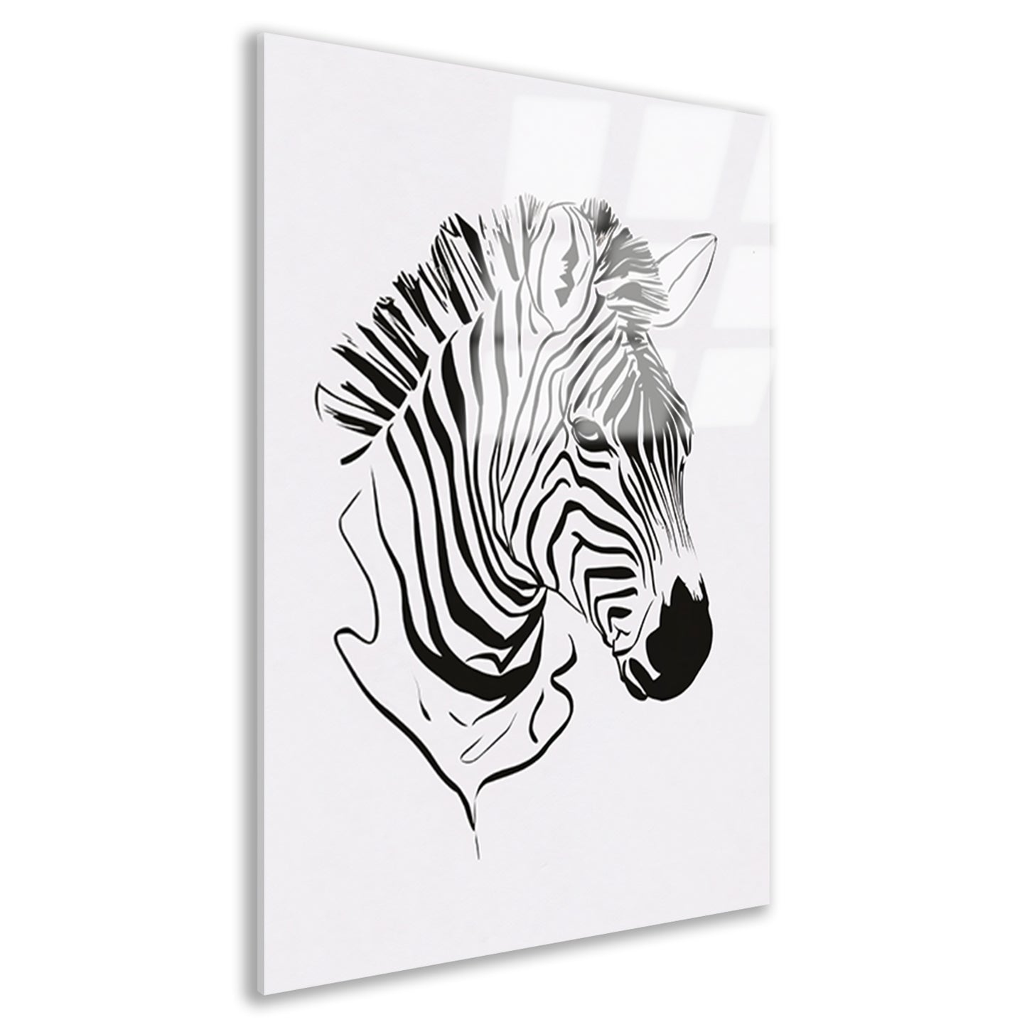 Abstracte zwart-witte zebra lijntekening acrylglas