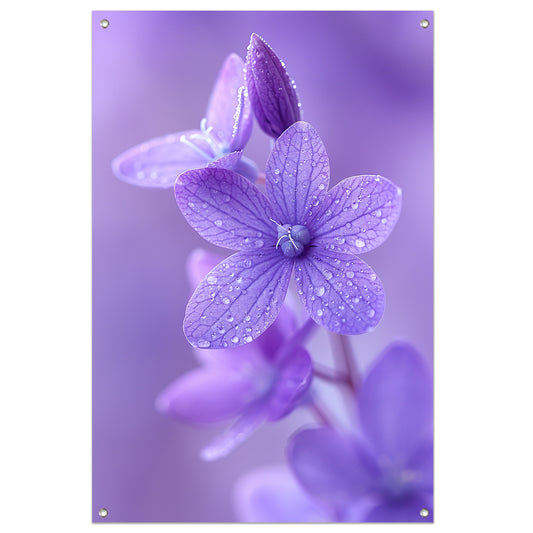 Paarse bloemen met dauwdruppels in close-up tuinposter