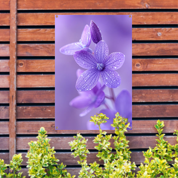 Paarse bloemen met dauwdruppels in close-up tuinposter