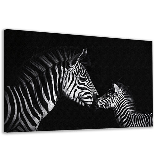 Zebra en jong in zwart-wit foto canvas