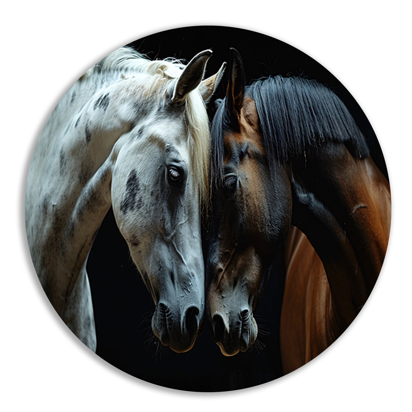 Twee paarden in een donkere omgeving forex muurcirkel