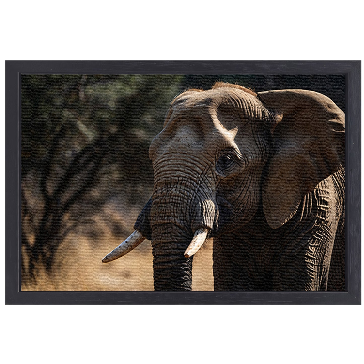 Prachtige close-up foto van een olifant canvas met baklijst
