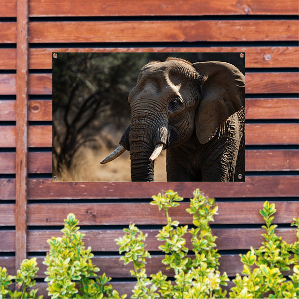 Prachtige close-up foto van een olifant tuinposter