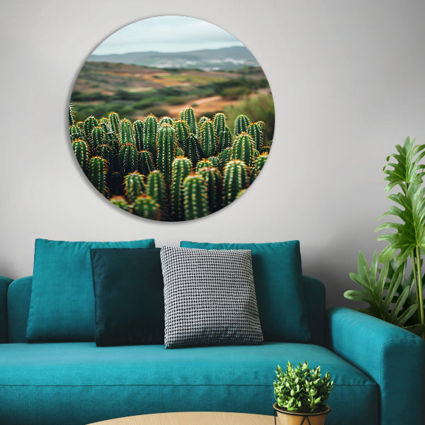 Cactussen in een berglandschap aluminium muurcirkel