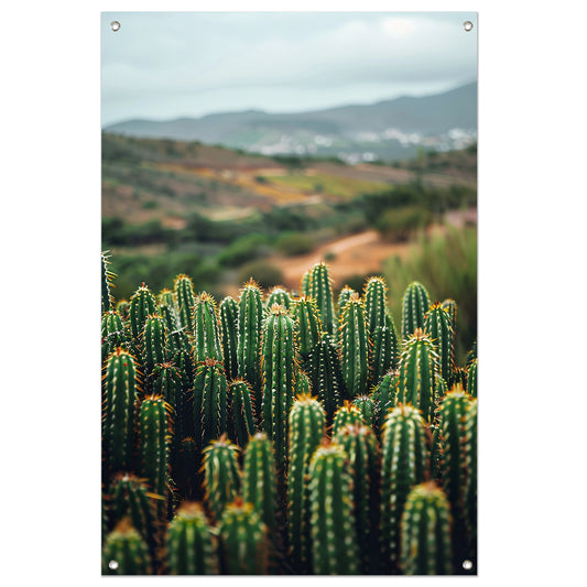Cactussen in een berglandschap tuinposter