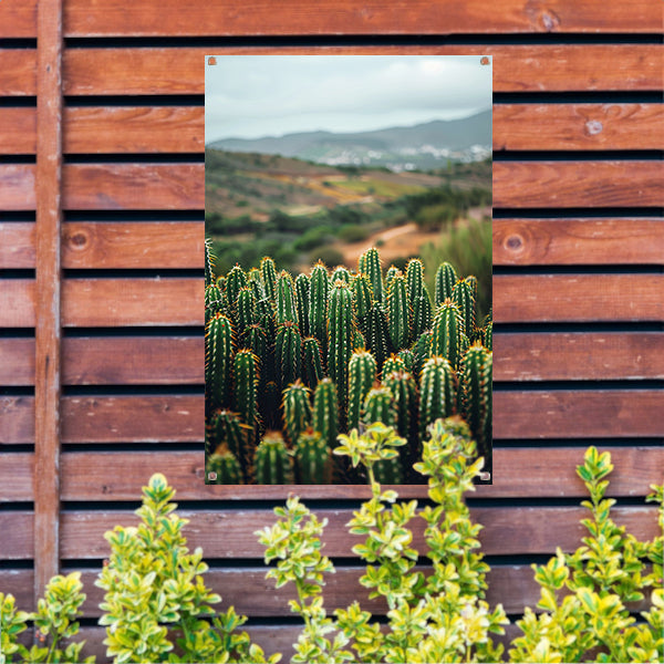 Cactussen in een berglandschap tuinposter