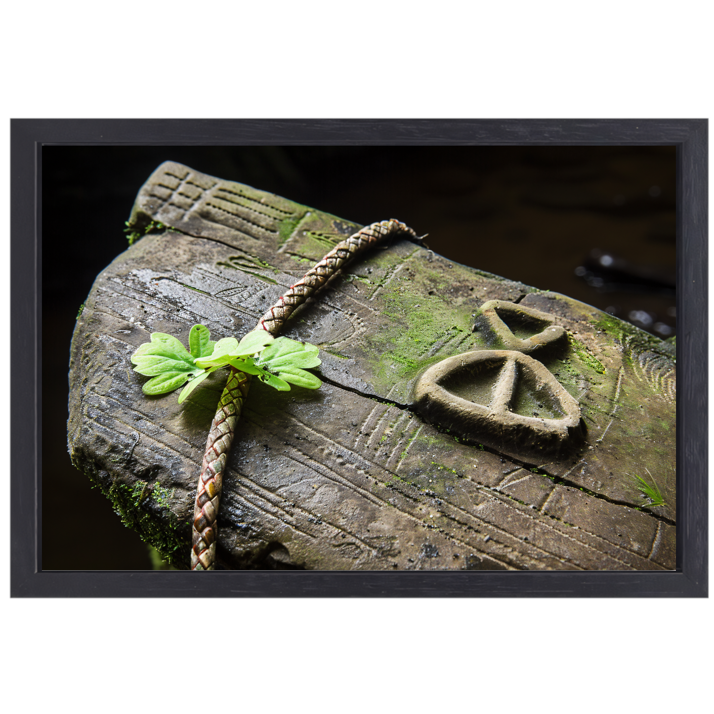 Plant groeit uit holle boomstam canvas met baklijst