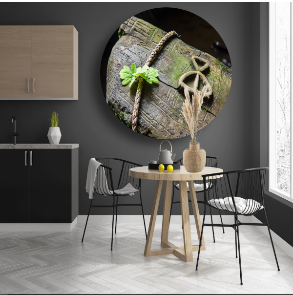 Plant groeit uit holle boomstam aluminium muurcirkel