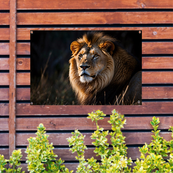 Majestueuze leeuw in donkere achtergrond tuinposter