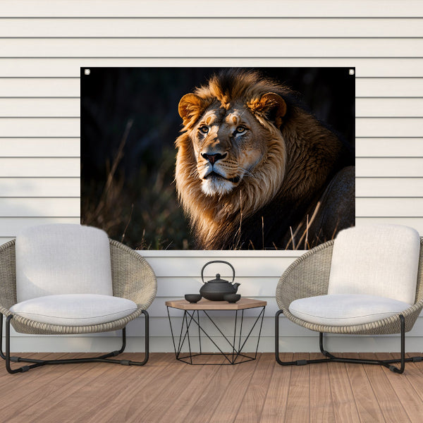 Majestueuze leeuw in donkere achtergrond tuinposter