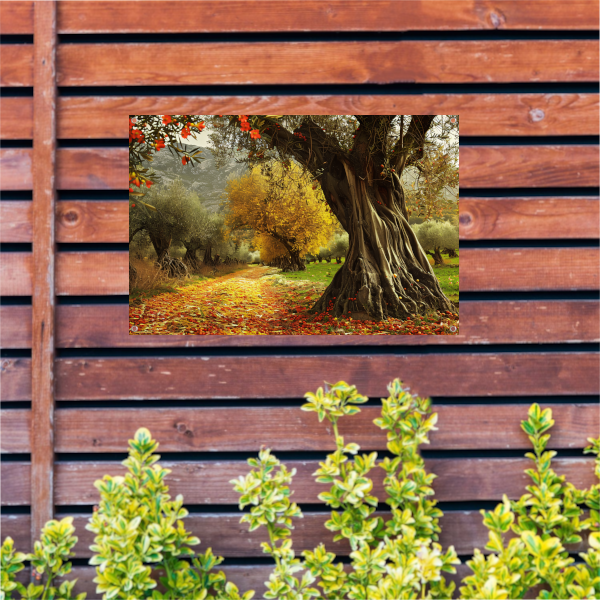 Boswandeling in Lentezon tuinposter
