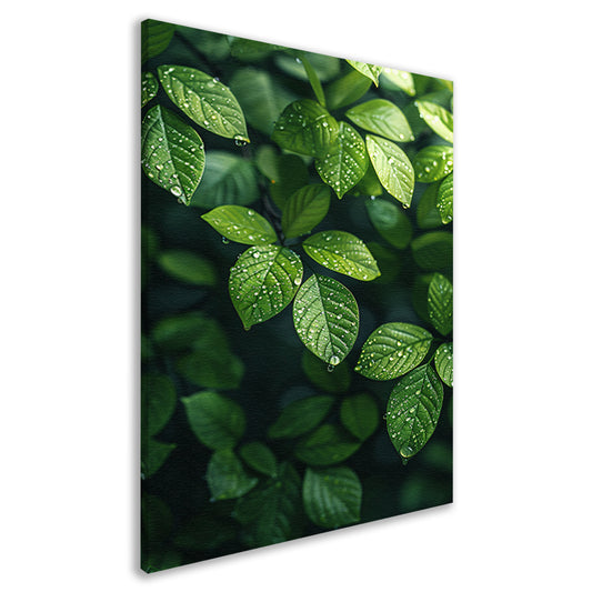 Glinsterende dauwdruppels op groene bladeren canvas