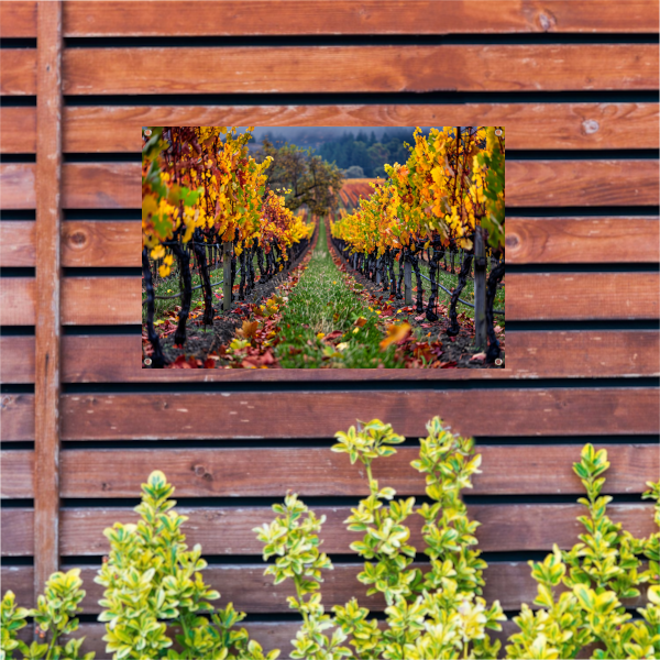 Herfst in de wijngaard met kleurenpracht tuinposter