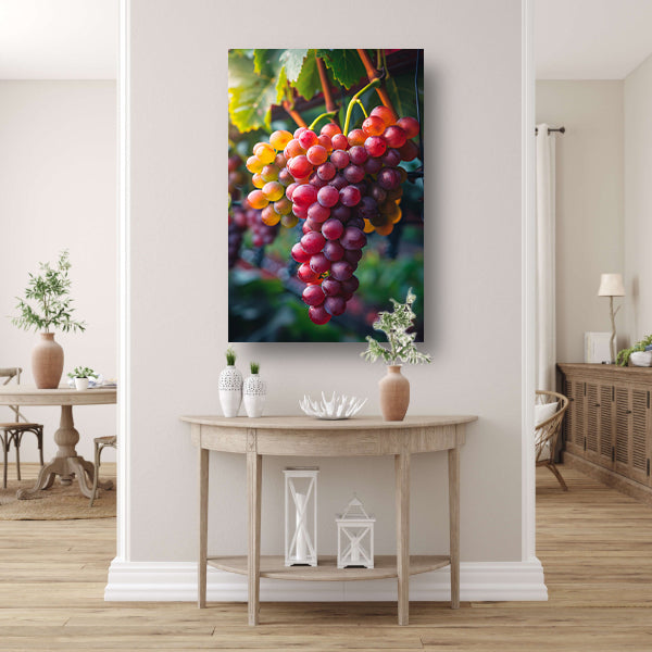 Rijpe druiven aan de wijnstok in de zon canvas