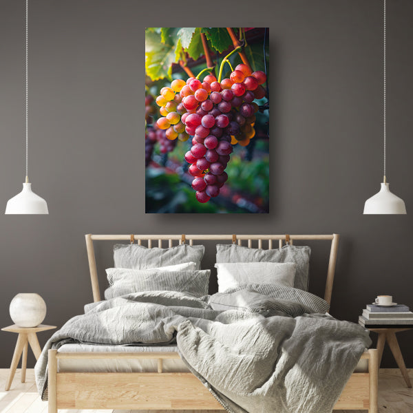 Rijpe druiven aan de wijnstok in de zon canvas