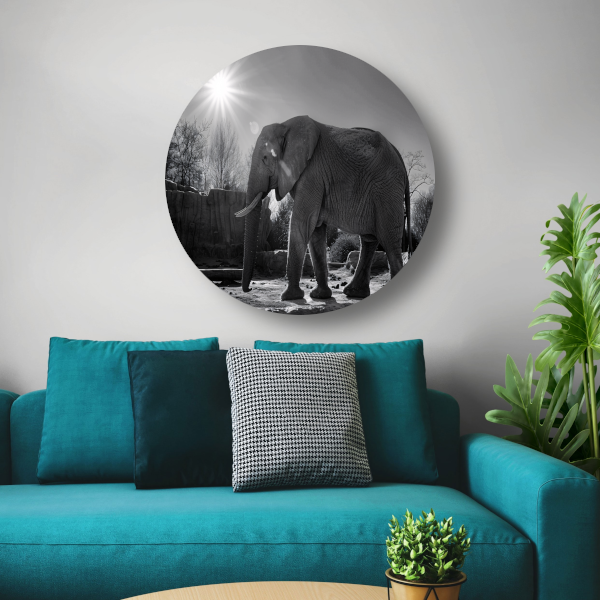 Olifant in Afrikaans landschap forex muurcirkel