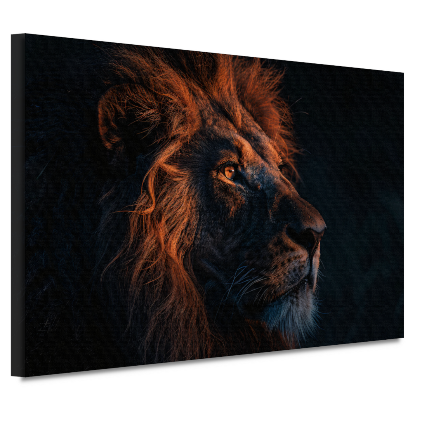 Leeuw in Schemerlicht met Gouden Manen canvas
