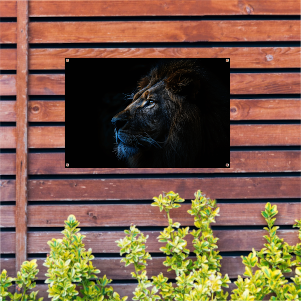 De stille majesteit van de nachtelijke leeuw tuinposter