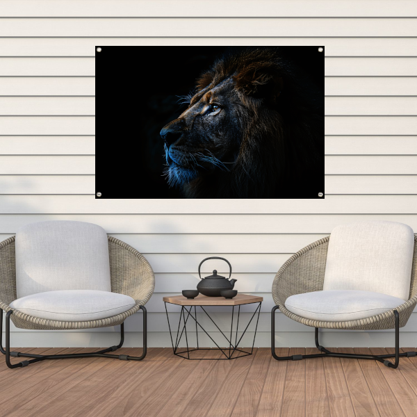 De stille majesteit van de nachtelijke leeuw tuinposter