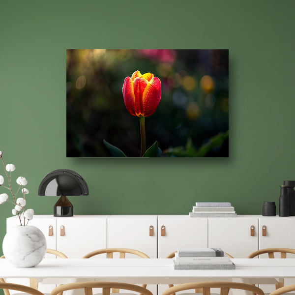 Close-up van tulp met dauwdruppels canvas