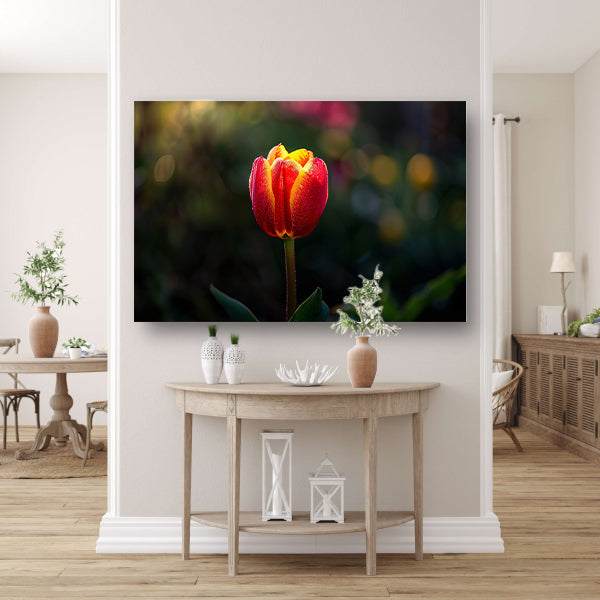 Close-up van tulp met dauwdruppels canvas