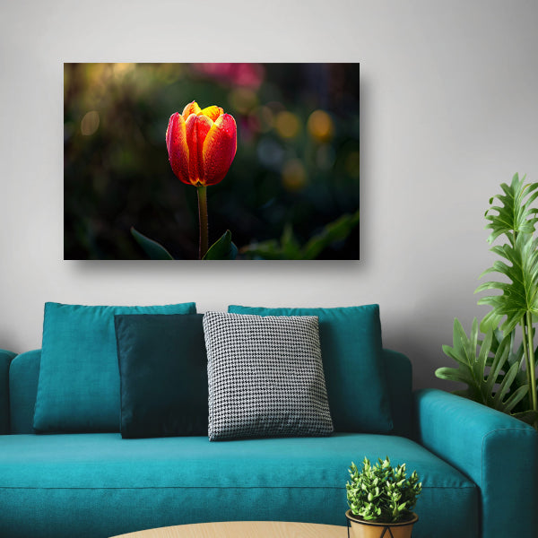 Close-up van tulp met dauwdruppels canvas
