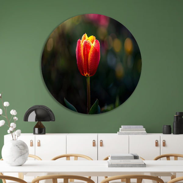 Close-up van tulp met dauwdruppels aluminium muurcirkel