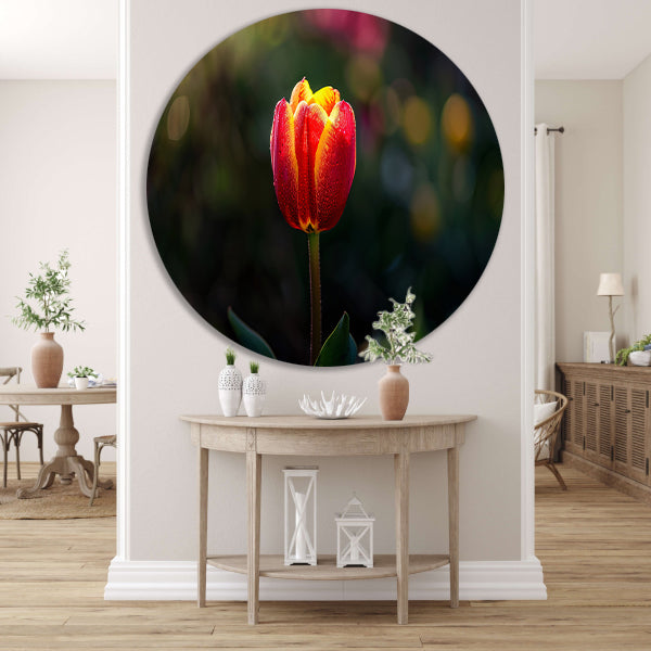 Close-up van tulp met dauwdruppels aluminium muurcirkel