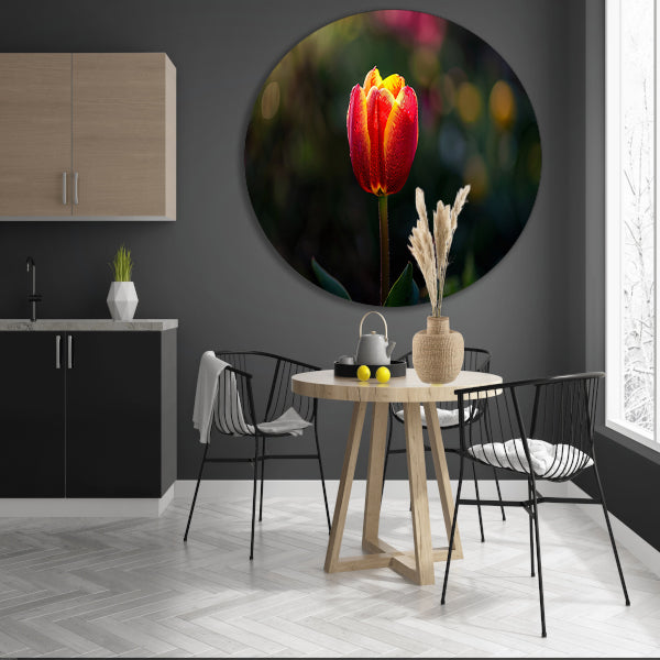 Close-up van tulp met dauwdruppels aluminium muurcirkel