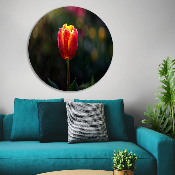 Close-up van tulp met dauwdruppels aluminium muurcirkel