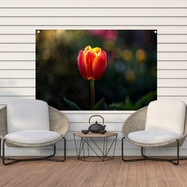 Close-up van tulp met dauwdruppels tuinposter