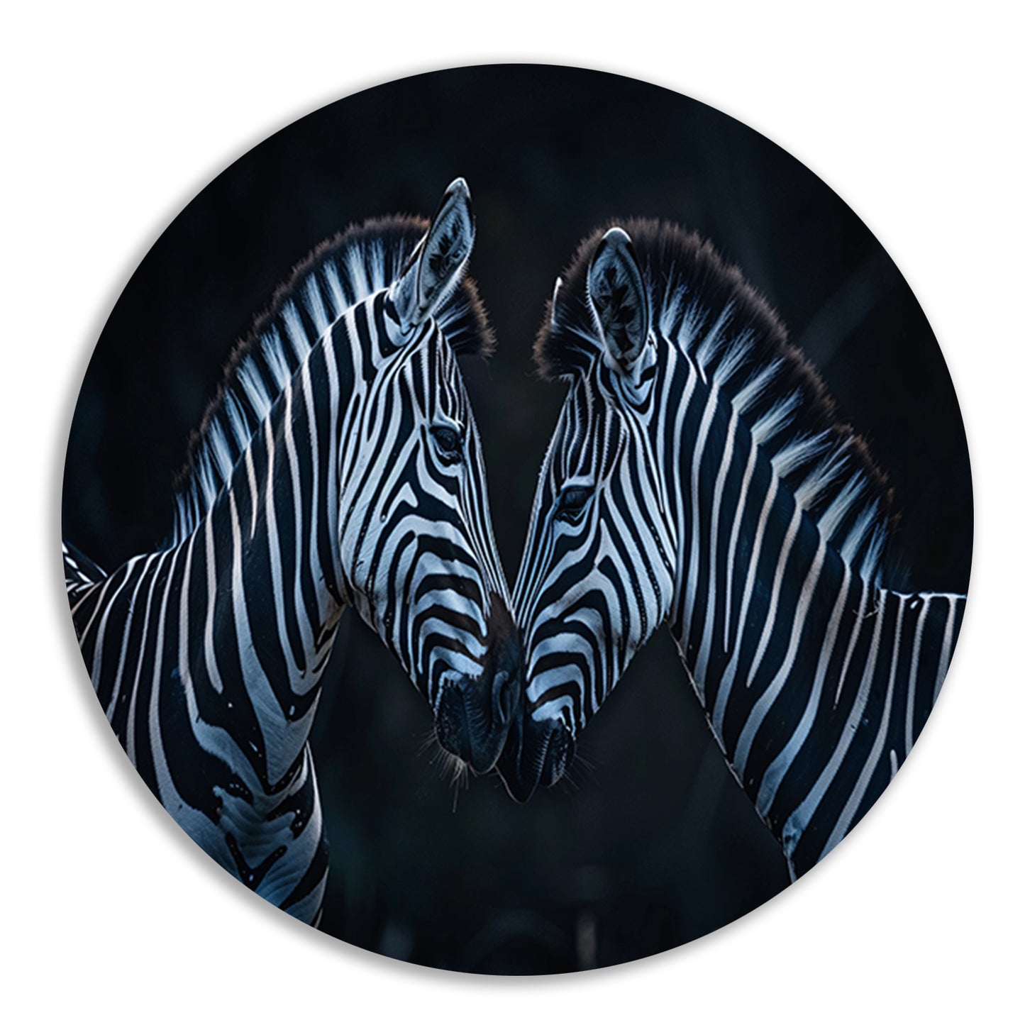 Twee zebra’s in donkere omgeving forex muurcirkel