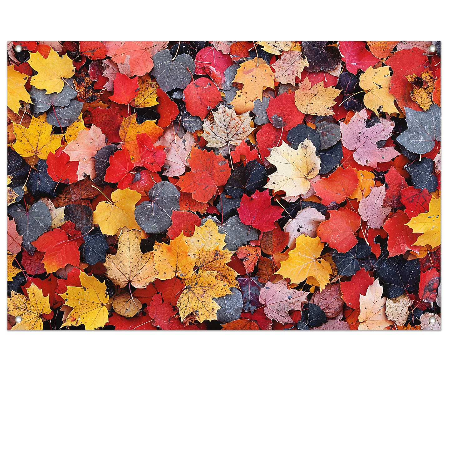 Herfstkleurenpracht op de grond tuinposter