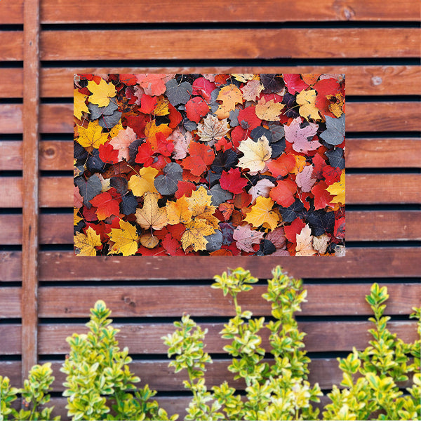 Herfstkleurenpracht op de grond tuinposter