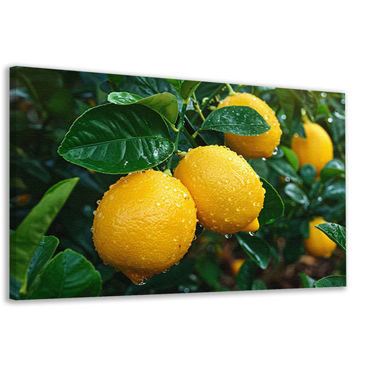 Citroenboom met citroenen canvas