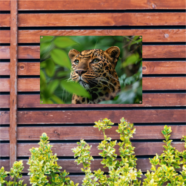 Luipaard Tussen Groen in Jungle tuinposter