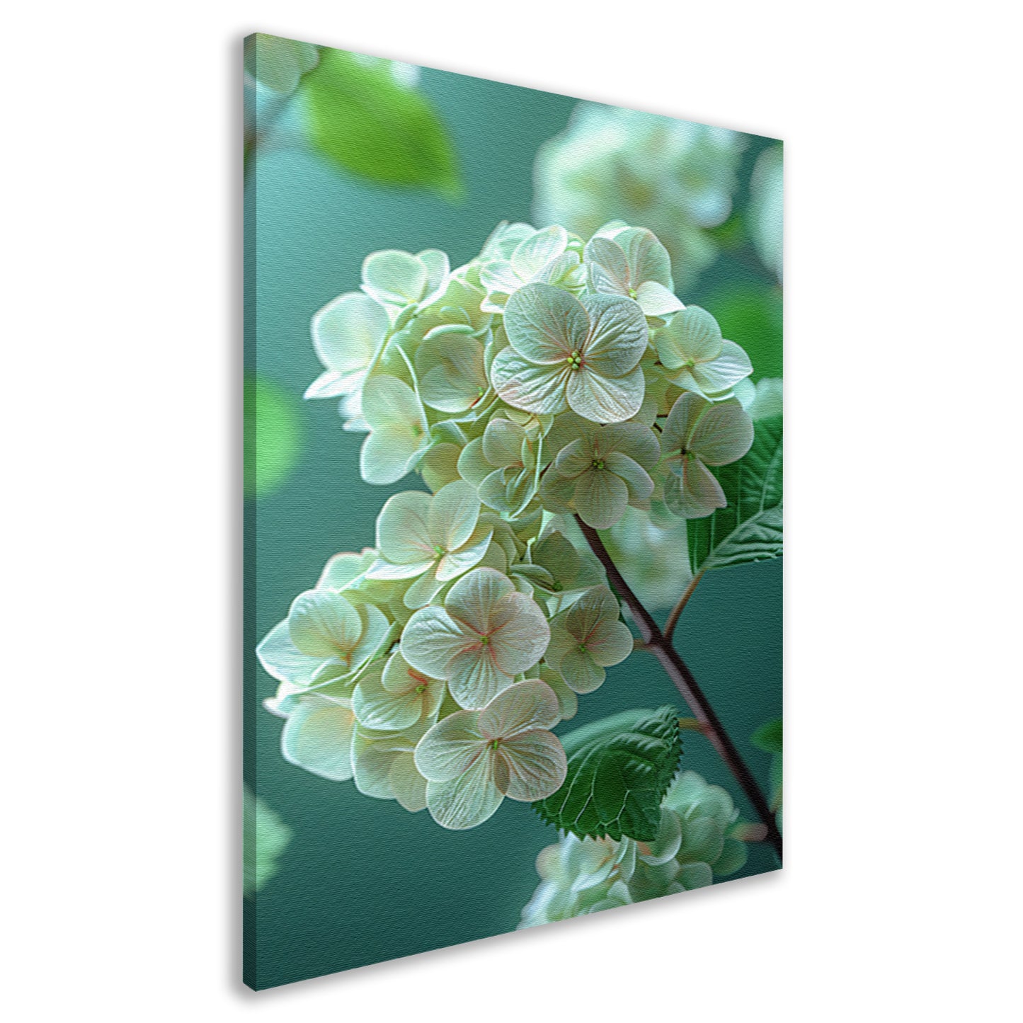 Close-up van Zachtroze Hortensia Bloemen canvas