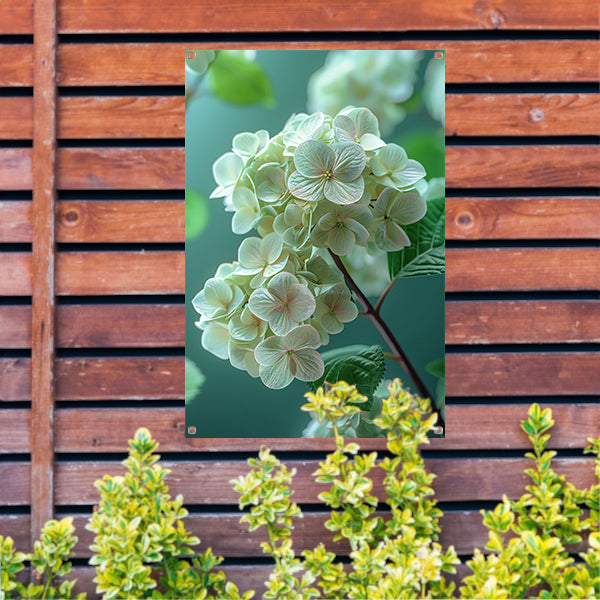 Close-up van Zachtroze Hortensia Bloemen tuinposter