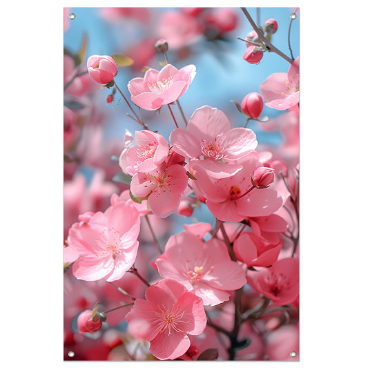 Zachtroze Bloesems in Lentezon tuinposter
