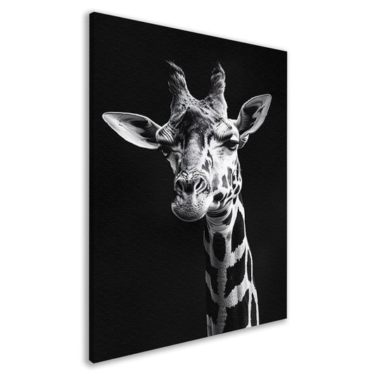 Zwart-wit portret van een giraffe canvas